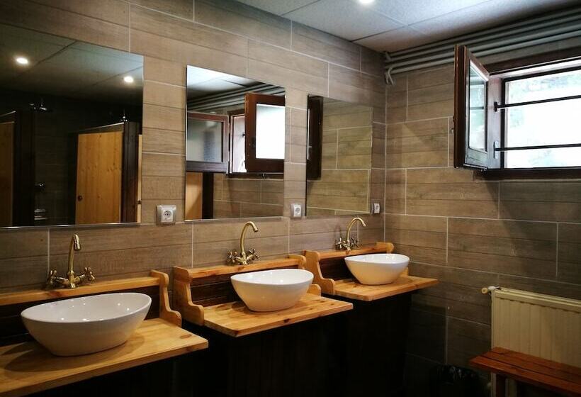 带共用浴室的标准房间, Alberg Les Daines