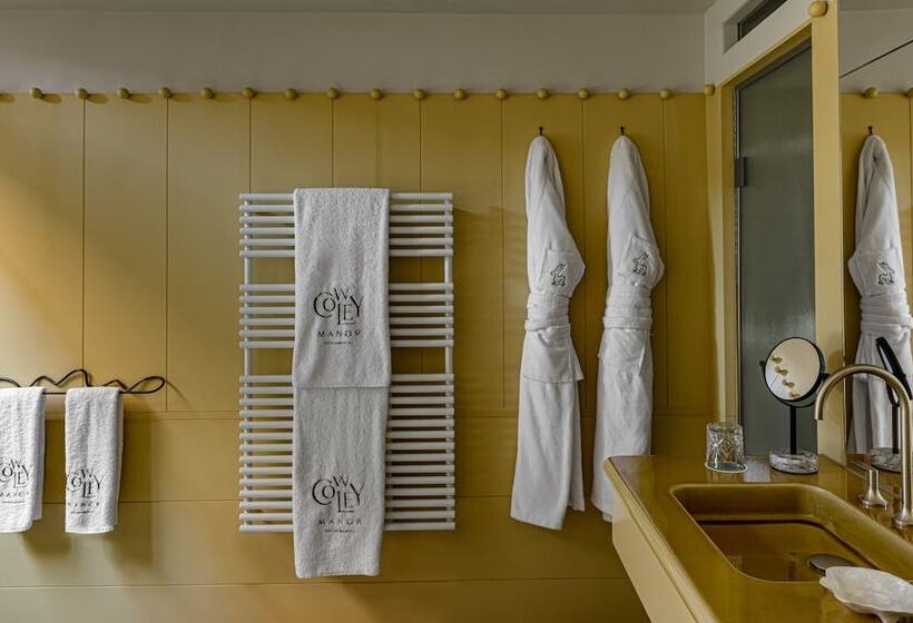 Номер Стандарт, Cowley Manor Experimental