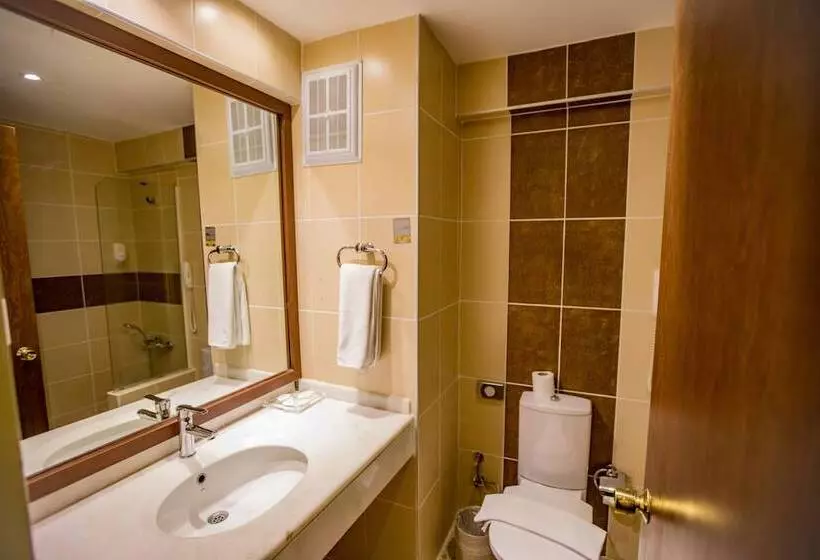 اتاق سوپریور, Dedeman Palandoken Resort