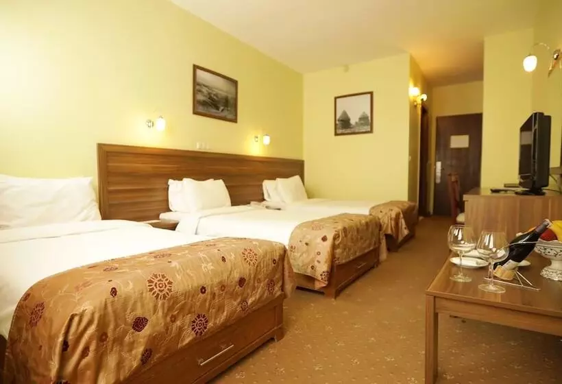 اتاق سوپریور, Dedeman Palandoken Resort