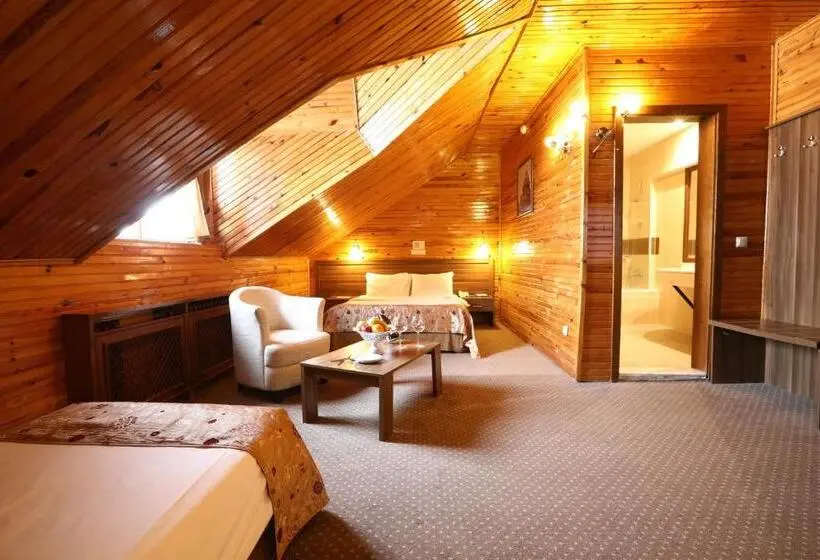 Deluxe Room Mountain View, Dedeman Palandoken Resort