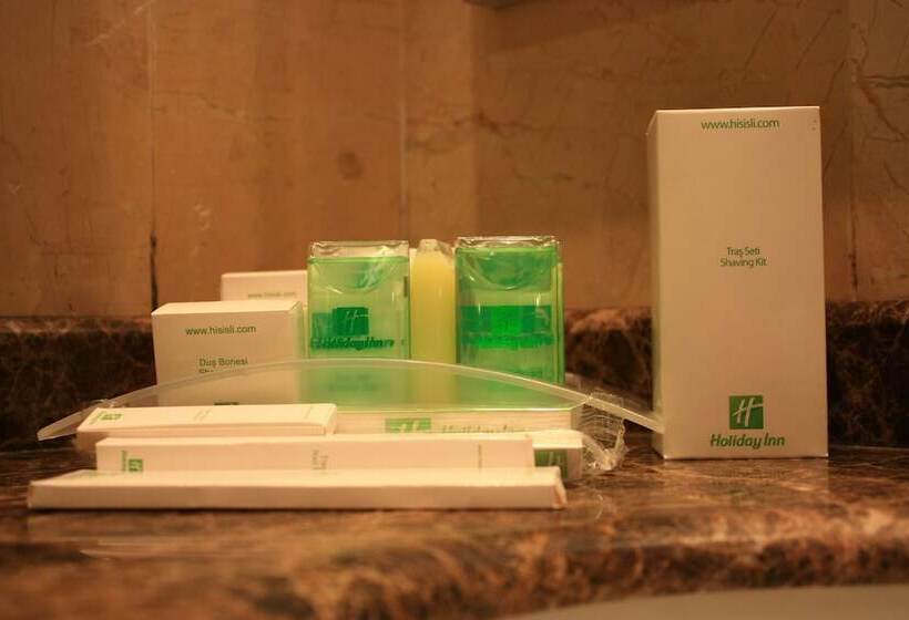 スタンダードルーム, Holiday Inn Sisli, An Ihg