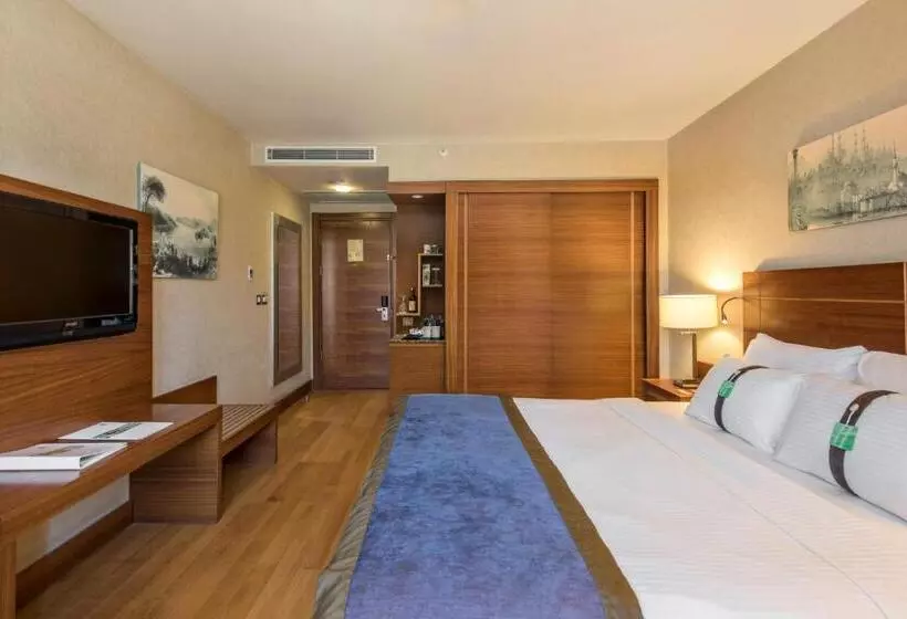 Deluxe Room King Size Bed