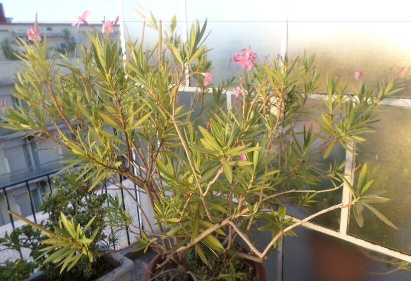 Номер Стандарт Индивидуальный, Nafsika Hotel Athens Centre