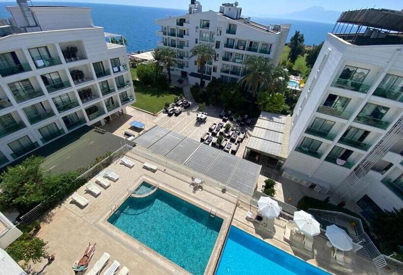 اتاق استاندارد یک نفره, Prima