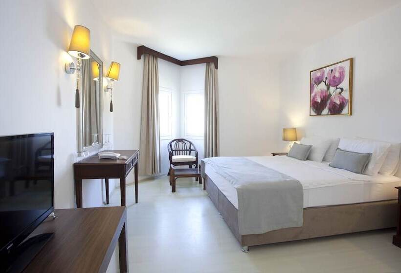 スタンダードルーム, Princess Artemisia