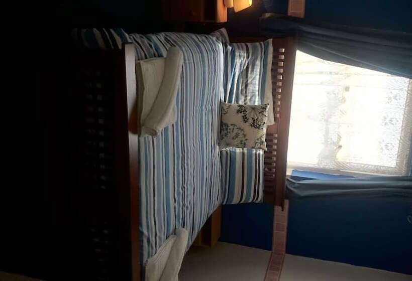 标准单人间, Tulip