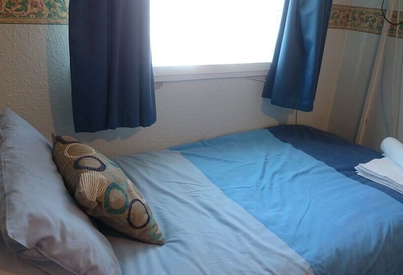 标准单人间, Tulip