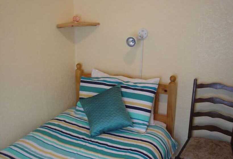 标准单人间, Tulip