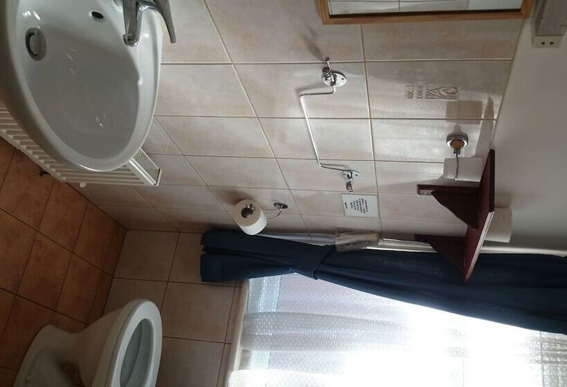 标准三人间, Tulip