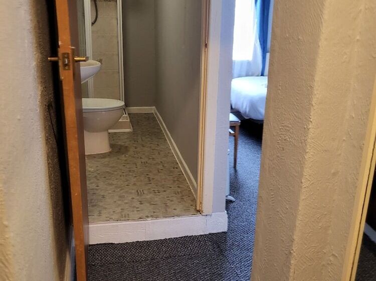 标准三人间, Tulip