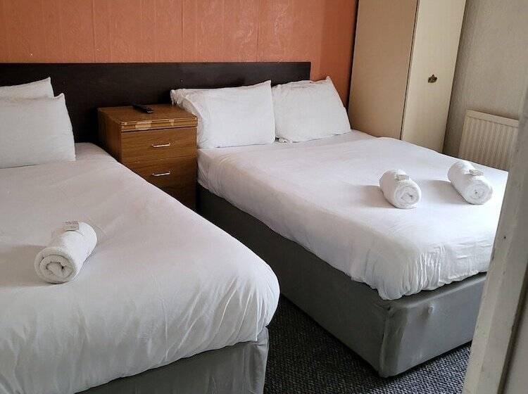 Quarto Triplo Estandar, Tulip
