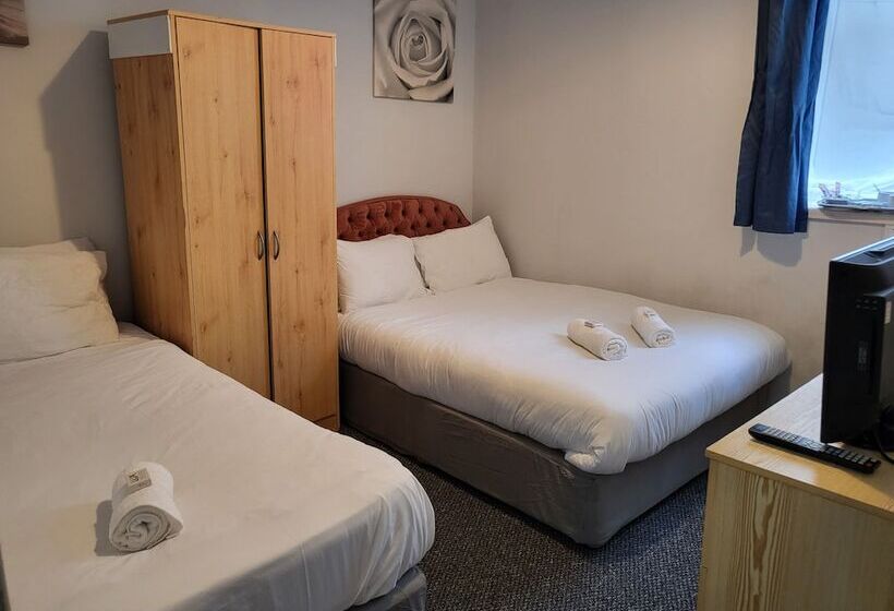 标准三人间, Tulip