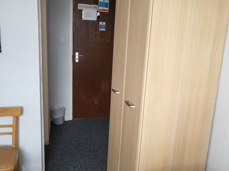 标准三人间, Tulip