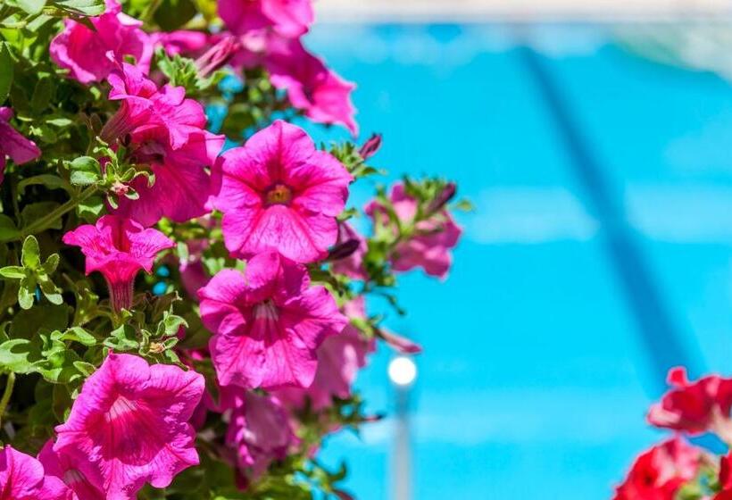 إستديو قياسى مزود بشرفة, Ilios Beach Hotel Apartments Adults Only