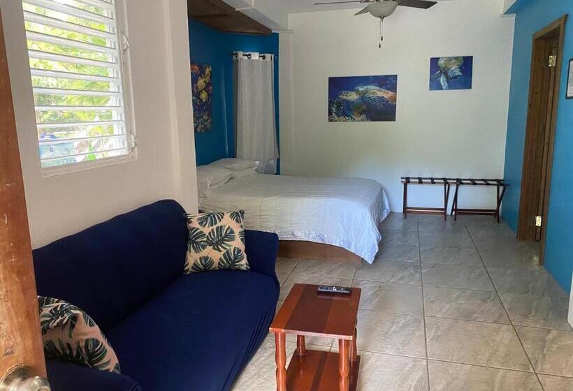 חדר סטנדרט נוף לגינה, Jaguar Morning Star