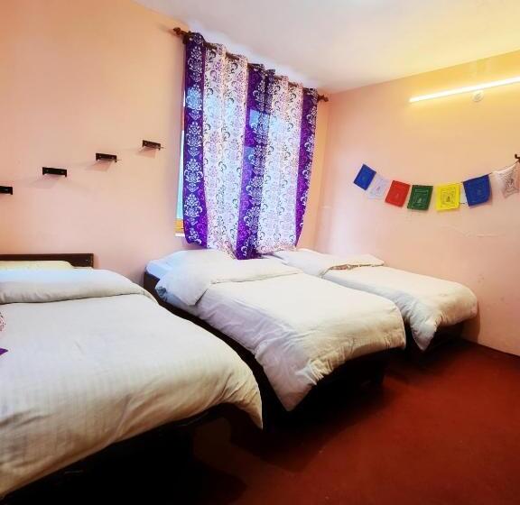 共用房间的床, Lap Stays   Wanderer S Nest