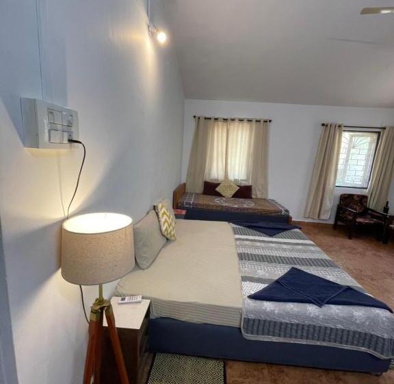 חדר דלוקס, Piccolo Dreams