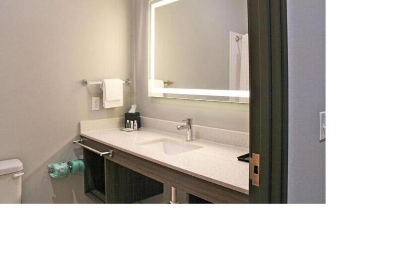 장애인을 위한 스탠다드 룸, Comfort Inn Miramar Beachdestin