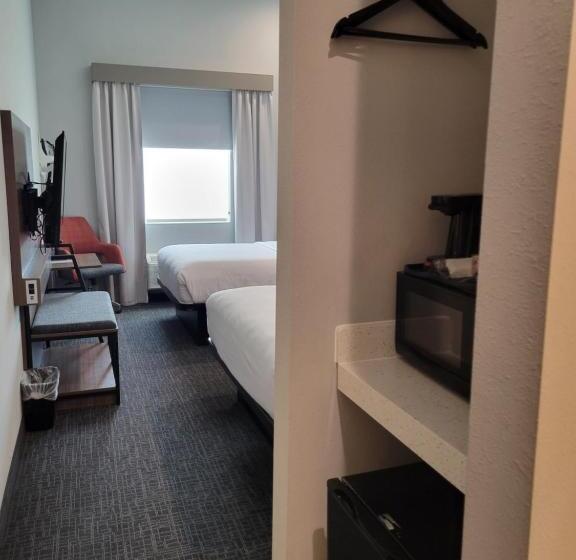 Camera Standard Accessibile ai Disabili, Comfort Inn Miramar Beachdestin