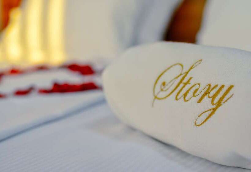 اتاق استاندارد با چشمانداز کوهستان, Story