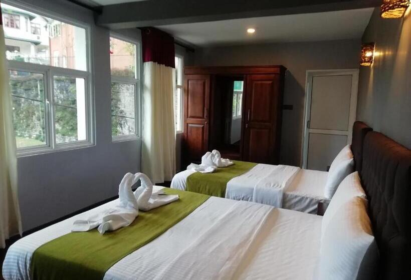 Camera Familiare Superiore, Tea Mount Forest