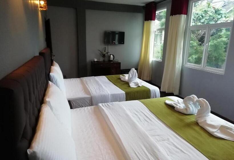 Camera Familiare Superiore, Tea Mount Forest