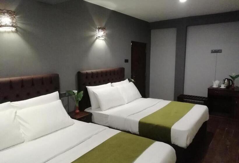 Camera Familiare Superiore, Tea Mount Forest