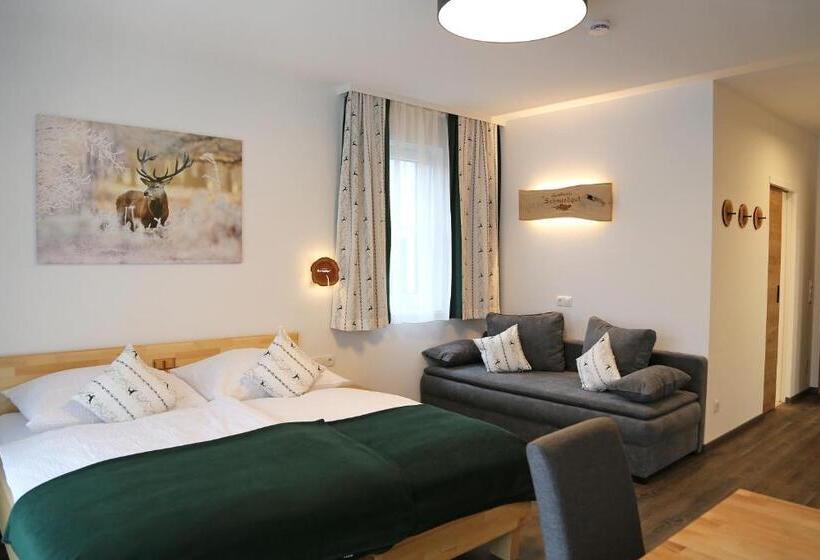 Апартаменты 1 Спальня с Балконом, Apartments Schmiedgut