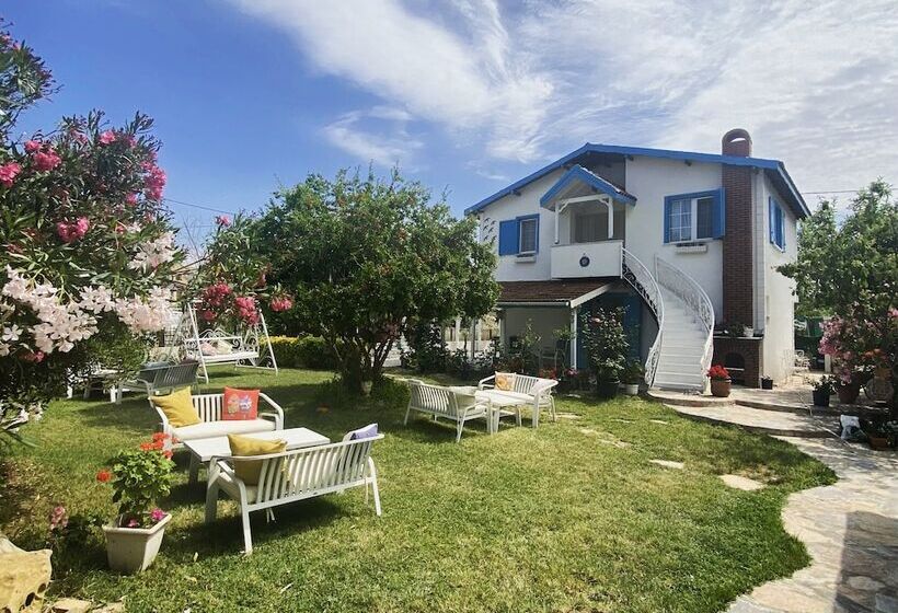 חדר סטנדרט, Holifera