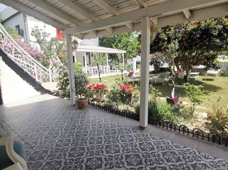 חדר סטנדרט, Holifera