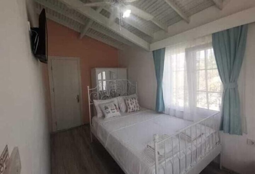 חדר סטנדרט, Holifera