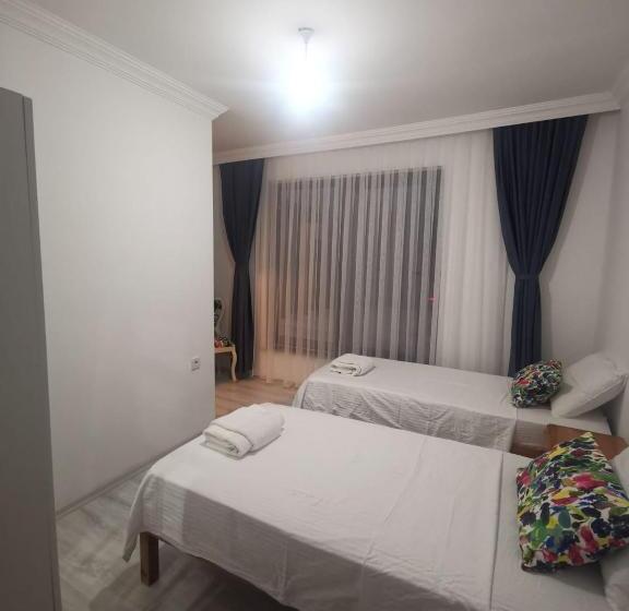 חדר סטנדרט, Holifera