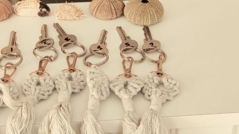 חדר סטנדרט, Holifera