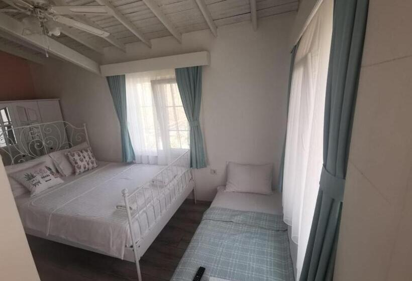 חדר סטנדרט, Holifera