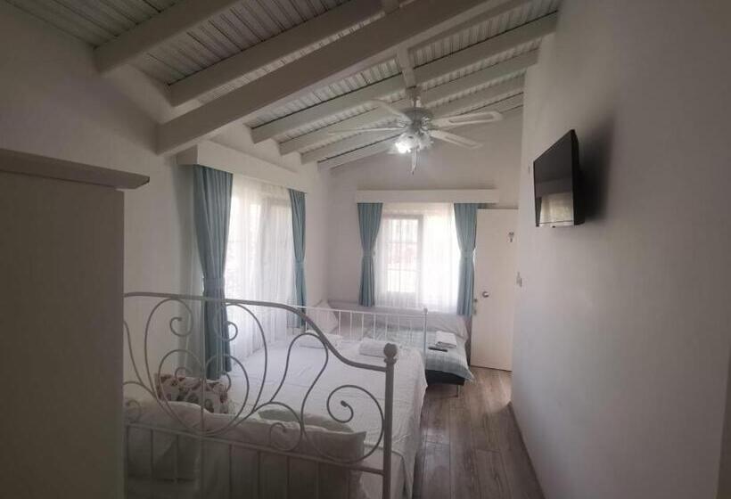 חדר סטנדרט, Holifera