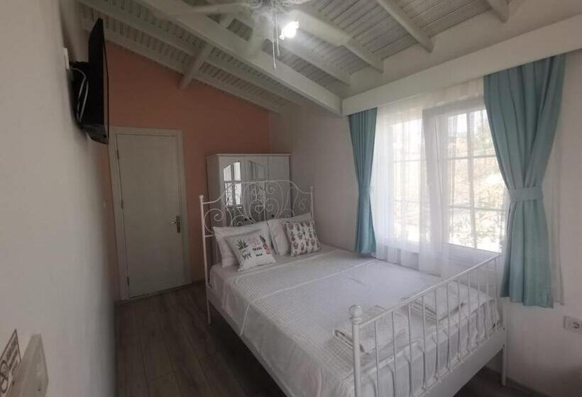 חדר סטנדרט, Holifera