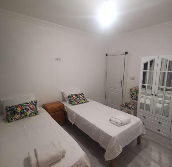 חדר סטנדרט, Holifera