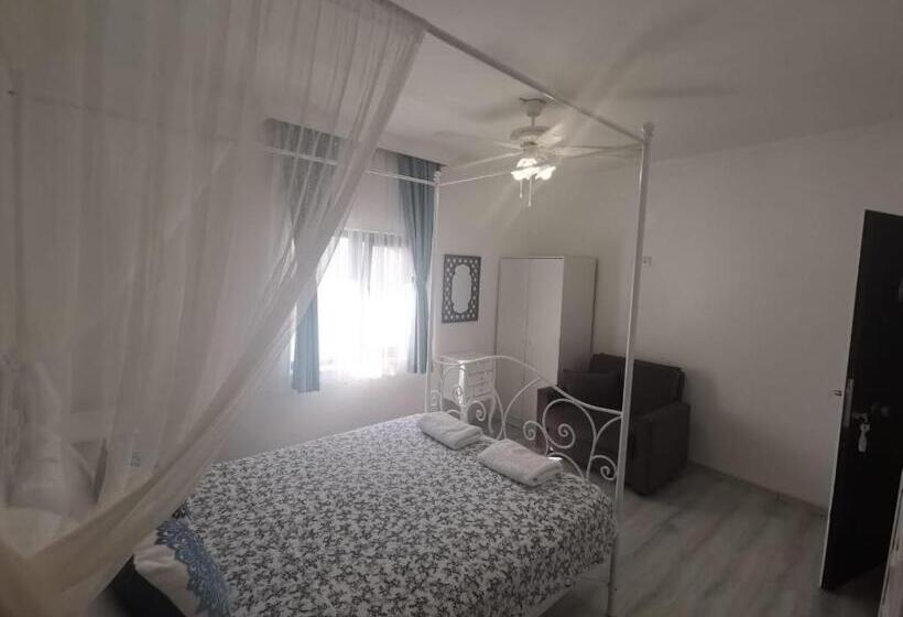 חדר סטנדרט, Holifera