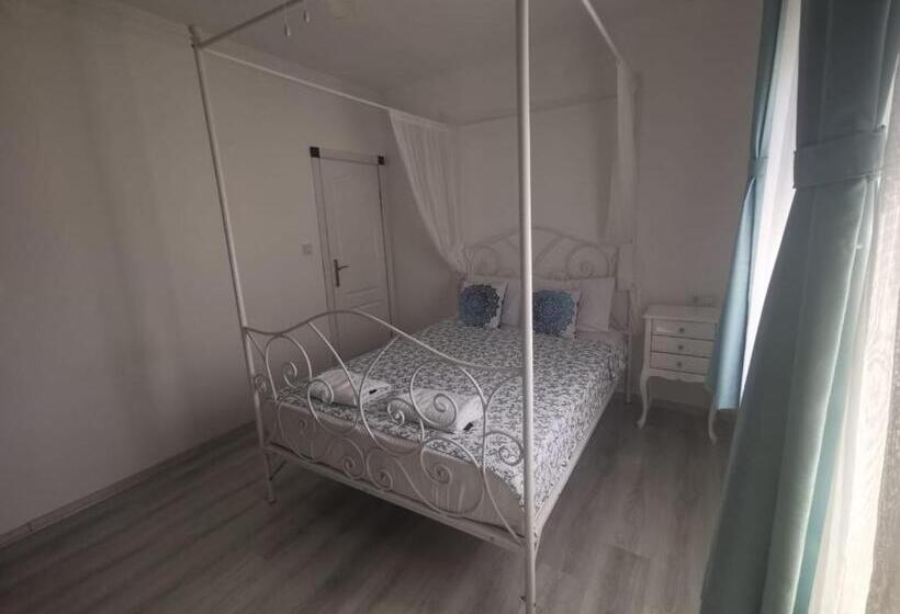 חדר סטנדרט, Holifera