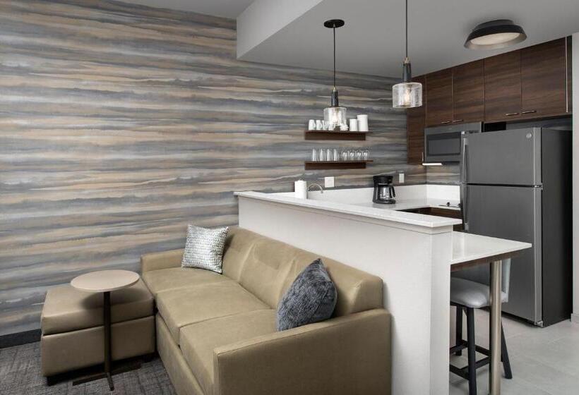 Estúdio standard Cama King, Residence Inn By Marriott Jacksonville Downtown