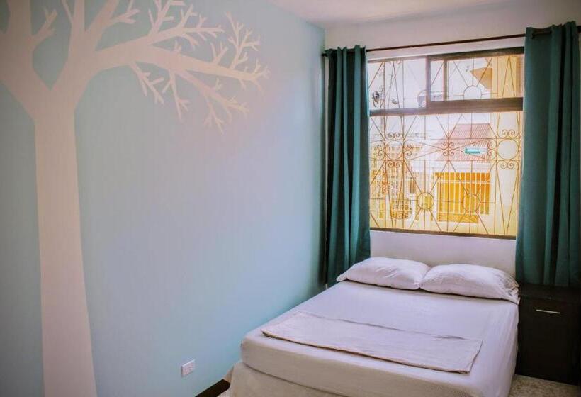 标准间, Stray Cat Hostel