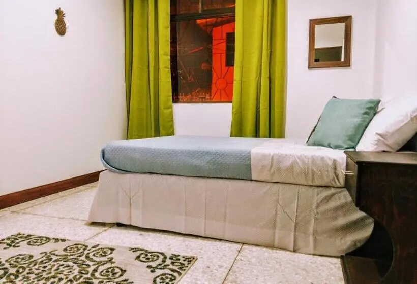 اتاق استاندارد, Stray Cat Hostel