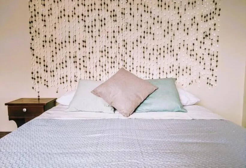 اتاق استاندارد, Stray Cat Hostel