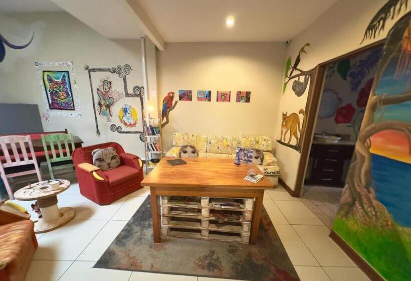 标准间, Stray Cat Hostel