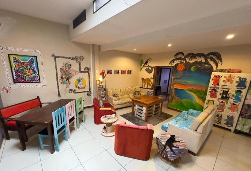 标准间, Stray Cat Hostel