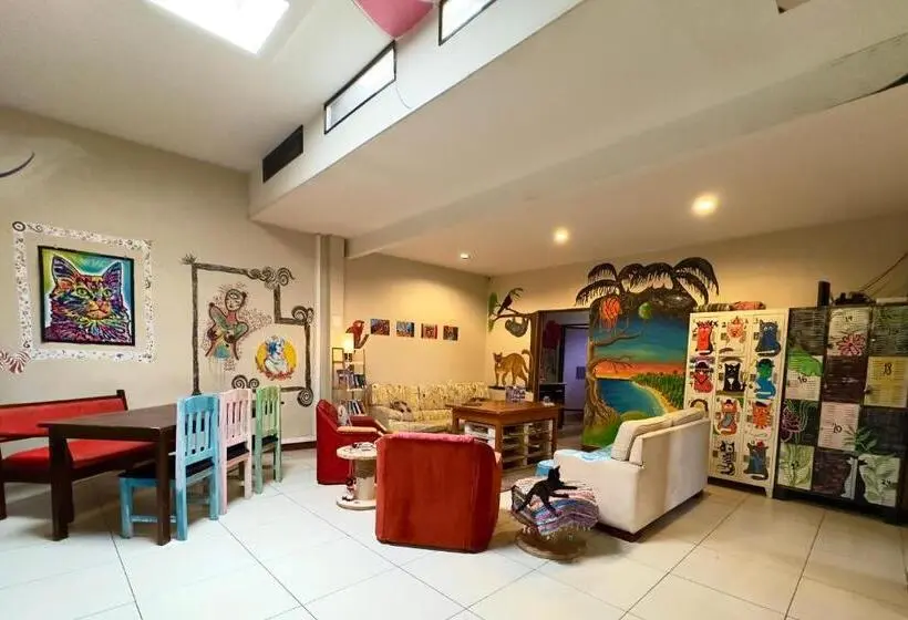 اتاق استاندارد سه نفره, Stray Cat Hostel
