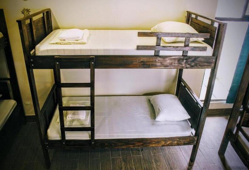 标准三人间, Stray Cat Hostel