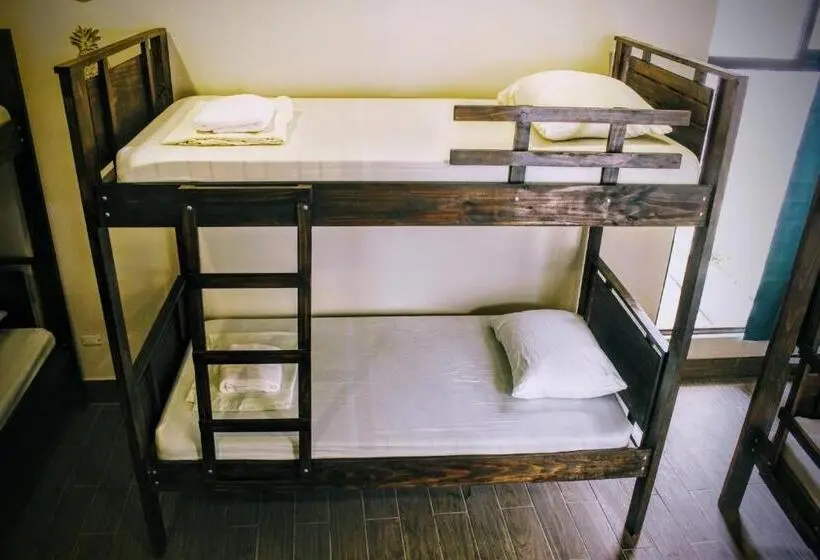 اتاق استاندارد سه نفره, Stray Cat Hostel
