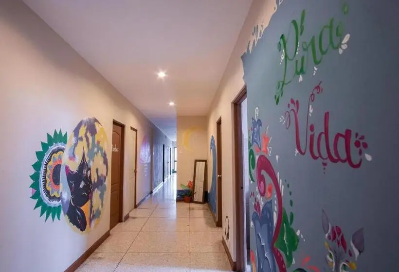 اتاق استاندارد سه نفره, Stray Cat Hostel